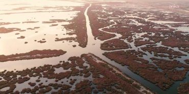 Gediz Nehri mercek altında… İzmir Körfezi ve tarım toprakları kirlilik kıskacında