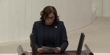 CHP’li Türkan Elçi: Cezasızlık ve öfke kültürü toplumu şiddete sürüklüyor