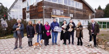 Tepebaşı Belediyesi, 2 ayda 138 sokak hayvanını sahiplendirdi