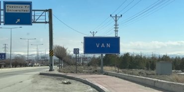 Van Kedisi sayısı artıyor, 2025 yılında 110 yavru dünyaya geldi