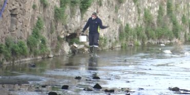 İzmir Büyükşehir Belediyesi’nden “mevsimsel sinek” açıklaması