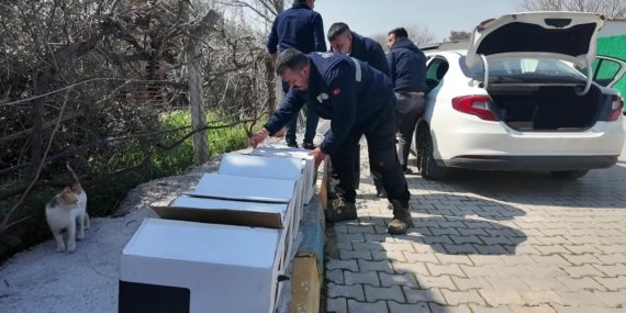 Bornova’da kedi ve köpekler için takviye edici gıda bağışı