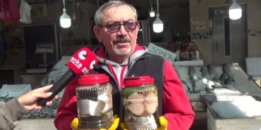 Sinop’ta 2 kilogramı bulan kavanozlarda hazırlanan lakerdalar 3 bin liradan satışa sunuluyor