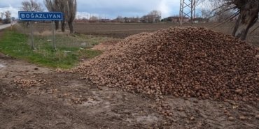 Marketlerde yaklaşık 25 liradan satılan patates Yozgat’ta hayvan yemi oldu: “Eğer patates bu hale düşüyorsa bu ülke iyi yönetilmiyordur”
