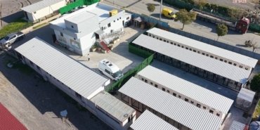 Bayraklı Belediyesi’nden hayvan bakımevinde kapsamlı yenileme çalışması