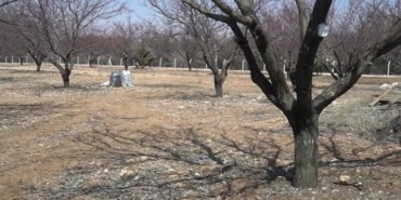 Malatya Ticaret Borsası Başkanı Özcan’dan kayısıda sezon öncesi “doğru ilaçlama” uyarısı