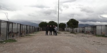 Edremit Belediye Başkanı Ertaş’tan Eminkuyu bölgesindeki görüntülere ilişkin açıklama: “Sokaktaki can dostlarımıza zarar veren kim olursa olsun, hak ettiği en ağır cezayı almalı”