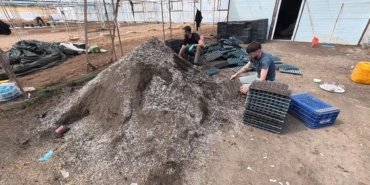 Yozgatlı “Tohum Ana” 20 yıldır topladığı ata tohumlarından kendi “Tohum Bankası”nı kurdu