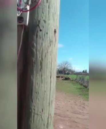 Dicle Elektrik, 20 metrelik gizli düzeneği ortaya çıkardı