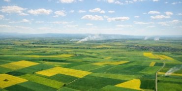 Bölge İdare Mahkemesi, Alpu Termik Santrali projesinde tarım arazileri için verilen izni iptal etti